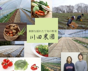 新鮮な採れたて旬の野菜 -川田農園-